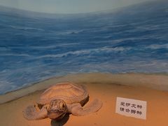 -嘉定博物馆