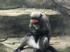 -南昌动物园