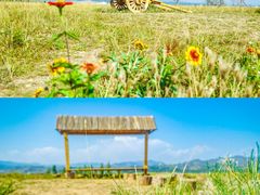 -敕勒川草原文化旅游区