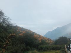 -秦岭风景区
