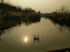 -白鹭湾湿地公园