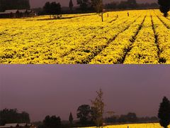 -中国天府农业博览园