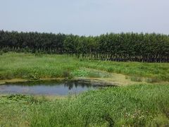 android_upload_pic-沈阳静安马场