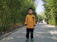 -迎泽公园