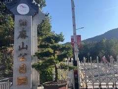-黄埔油麻山森林公园