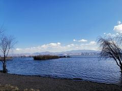 -洱海月湿地公园