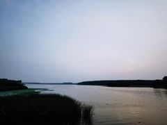-丁香湖公园