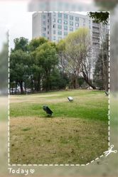 -耐味林月子会所(黄兴公园店)