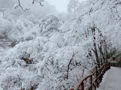 -黄山风景区