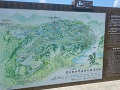 -铁山坪森林公园