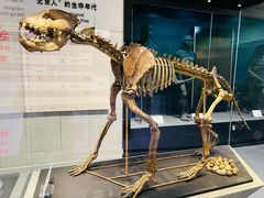 -北京周口店北京人遗址博物馆