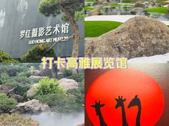 -罗红摄影艺术馆