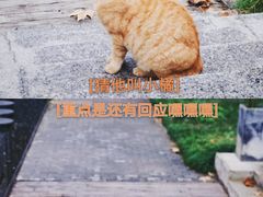 -东信·和创园
