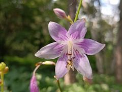 -长春市南湖公园