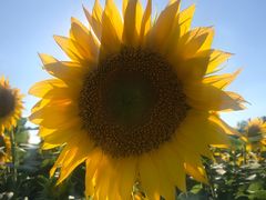 -奥林匹克森林公园南门-停车场