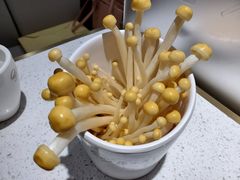 -串一火锅(赛格国际购物中心店)