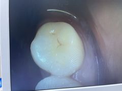 -牙博士口腔品牌连锁(杨浦店)