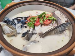 -全乐鱼馆·淳牌有机鱼直营店