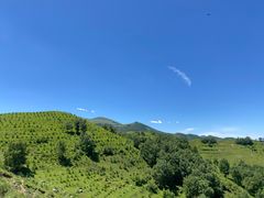 -灵山