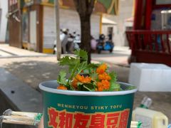 -董顺桃老长沙臭豆腐(步行街店)
