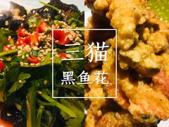 -三猫黑鱼花(南大店)