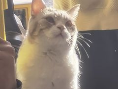 -平行世界·猫咖(首经贸店)