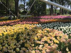 -上海鲜花港