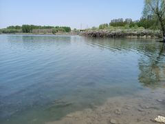 -丁香湖公园