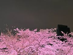 -西北湖绿化广场