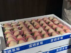 -北京海德酒店温泉