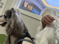 -达爱动物医院·犬猫分区·CT·复杂眼科(远洋山水分院)
