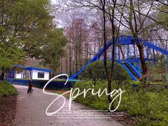 -上海共青森林公园