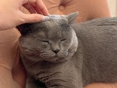 -Me Coffee下午茶艺术空间