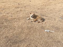 -胜华驾校·小猫学车(银都店)