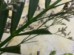 海鲈生-祈胜邨•顺德鱼生•顺德菜(容桂店)