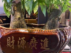 -老牌坊鲁菜名店(美莲广场店)