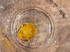 -朵云书院(滴水湖店)