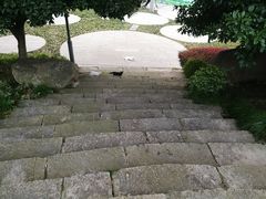-活水公园