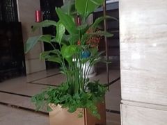 -洛阳宴·洛阳菜(南昌路店)