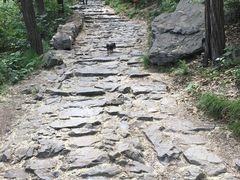 -阳台山自然风景区