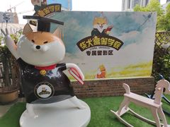 -柴犬高等学院·狗咖·柴犬售卖·宠物训练