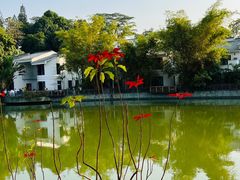 -中国科学院华南植物园