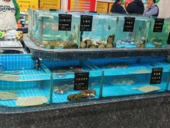-渔码头食府(蓬莱阁店)