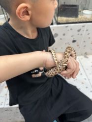 -Moni星球萌宠·小马宝莉·灵蛇·高端高阶全萌宠互动体验俱乐部(红豆国际广场店)