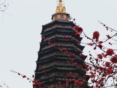 -红梅公园