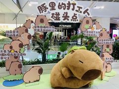 -凯德MALL(西直门店)