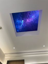 -纯粹医美