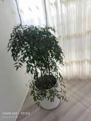 -HEYAN荷妍专业脱毛连锁机构