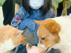 -平行世界·猫咖(首经贸店)