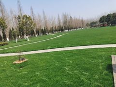 -合肥滨湖国家森林公园